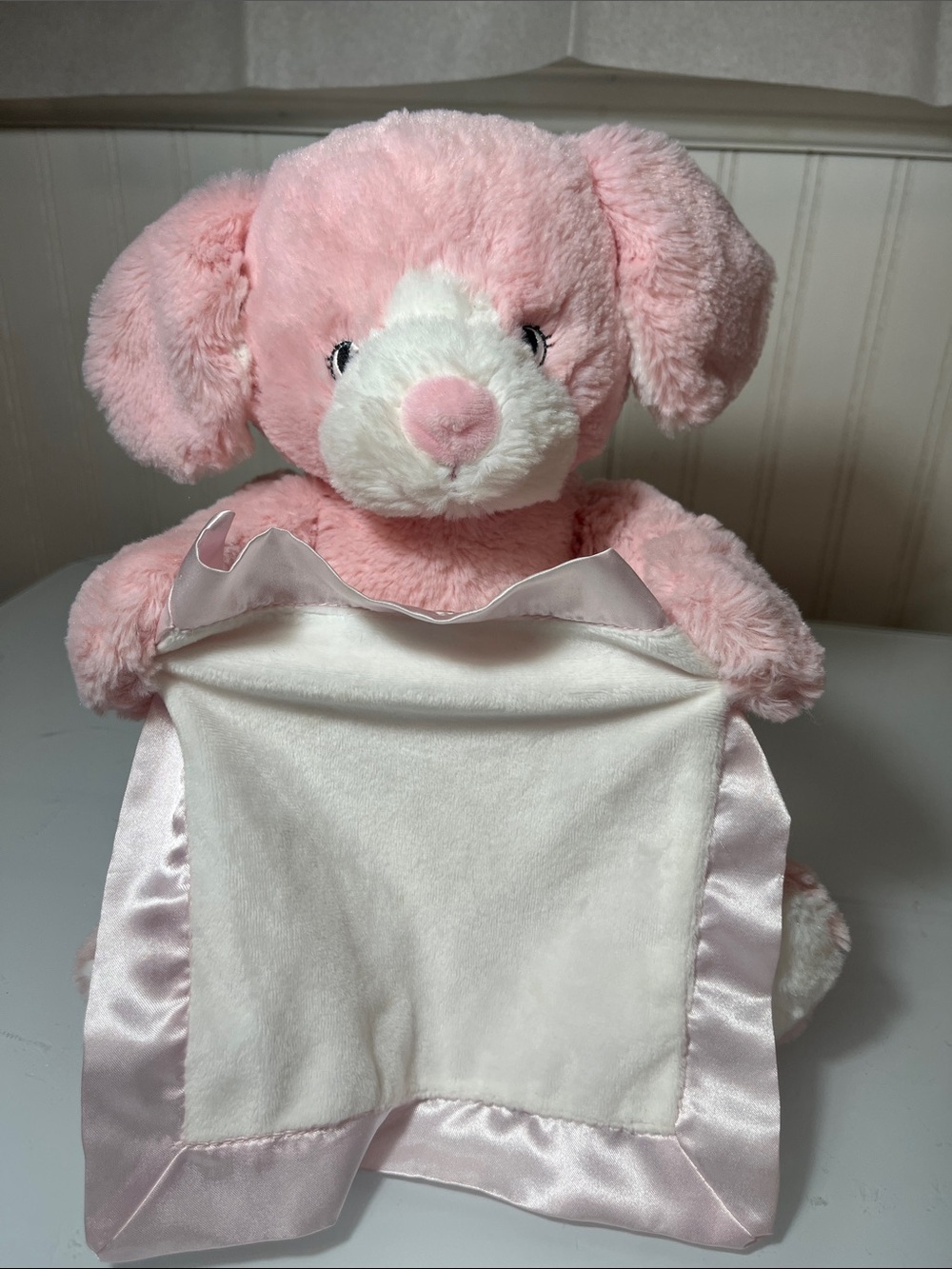 Pink Plush Puppy Lovey with Satin Trim Peek-A-Boo Stuffed Animal